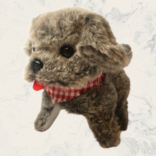 ISTARSKI schattig hondje