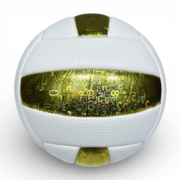 Volleybal - Baisidiwei  - Offici&euml;le maat en gewicht 280 g maat 5
