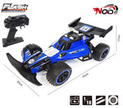 RC Race Buggy NQD - 2.4GHZ radio grafisch bestuurbare auto 18km/u - 1:10 43CM - oplaadbaar + extra accu