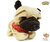 Cute pug - does different tricks - Voice Control Pets