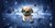 Bichon Frize dog barks and walks