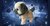 Bichon Frize dog barks and walks